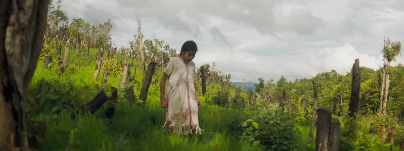 A girl walking down a hill with plants with the sky and clouds in the background
