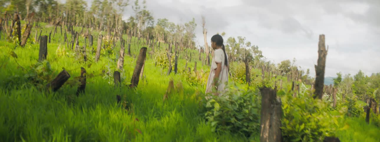 A young girl walks up a grassy hills with tree stumps