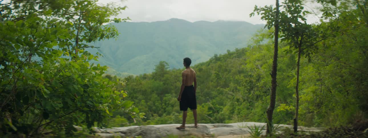 A man is jogging in a tropical area