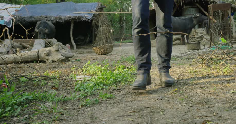 Man in boots walks through a rural area with cows in the background