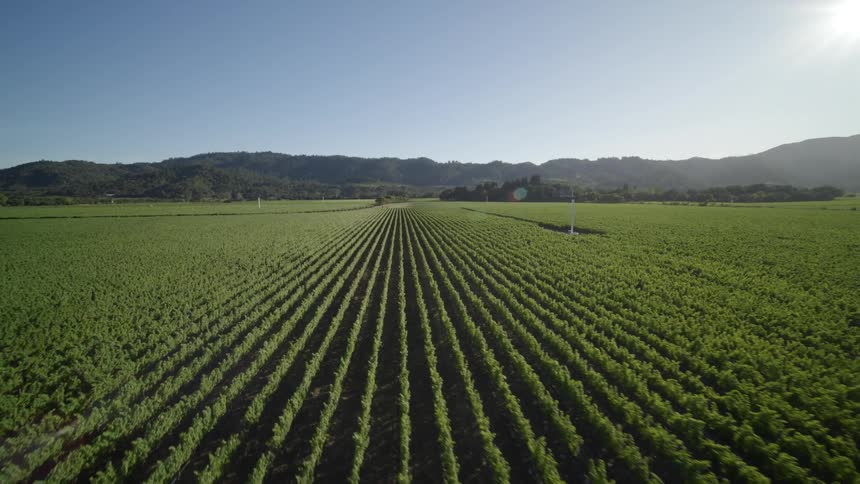 Descending toward rows of crops growing near mountains as the sun shines brightly overhead