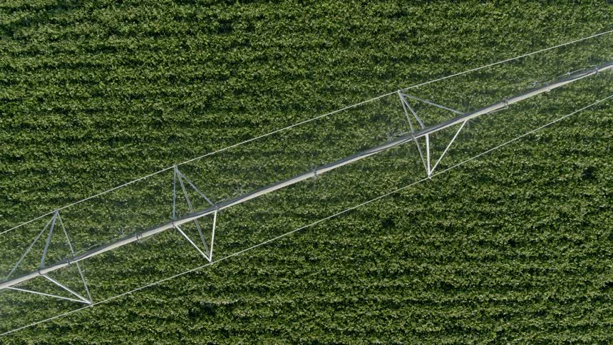 Subtle twisting ascent over a sprinkler system watering a lush green farm crop