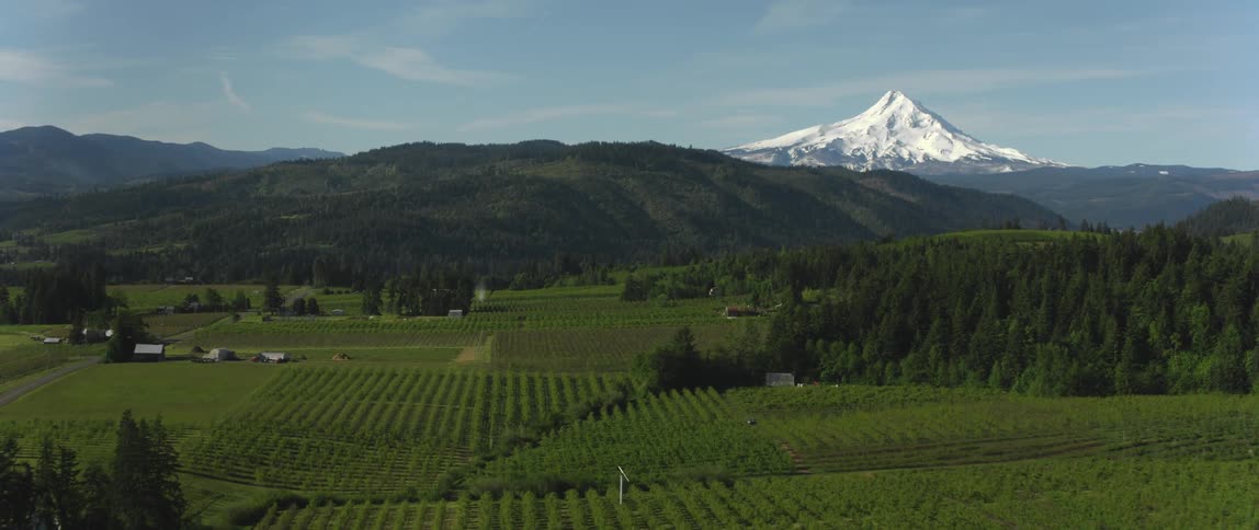 Forest covered hills stands between crop fields and mountains on the horizon