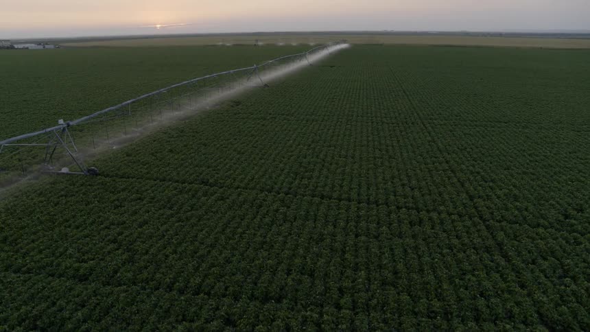 A very long irrigation boom sprays water over young plants on a farm as the sun just peeks above the horizon