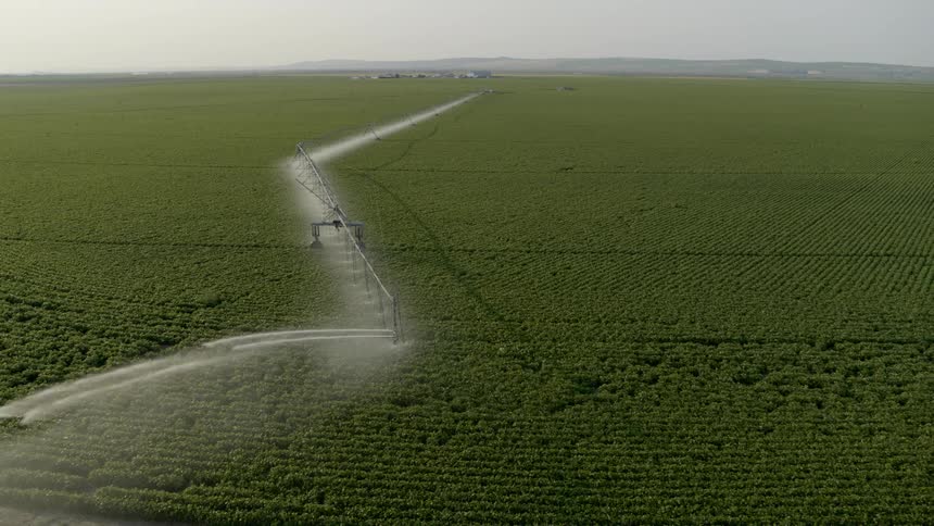 An extremely long pivot irrigation system waters crops on a vast farm field during the day