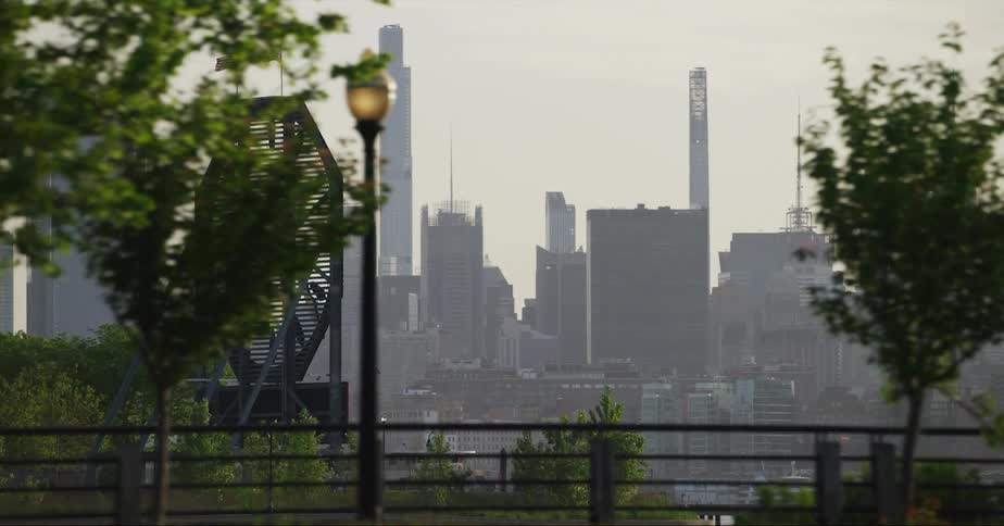 A hazy skyline peeks through trees lining a road