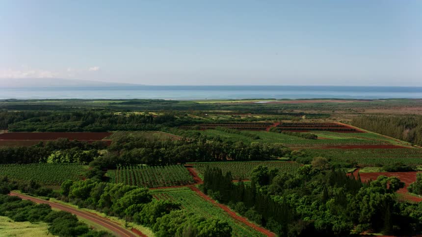 Roads and rural area are at the end of a runway and there is an ocean in the distance