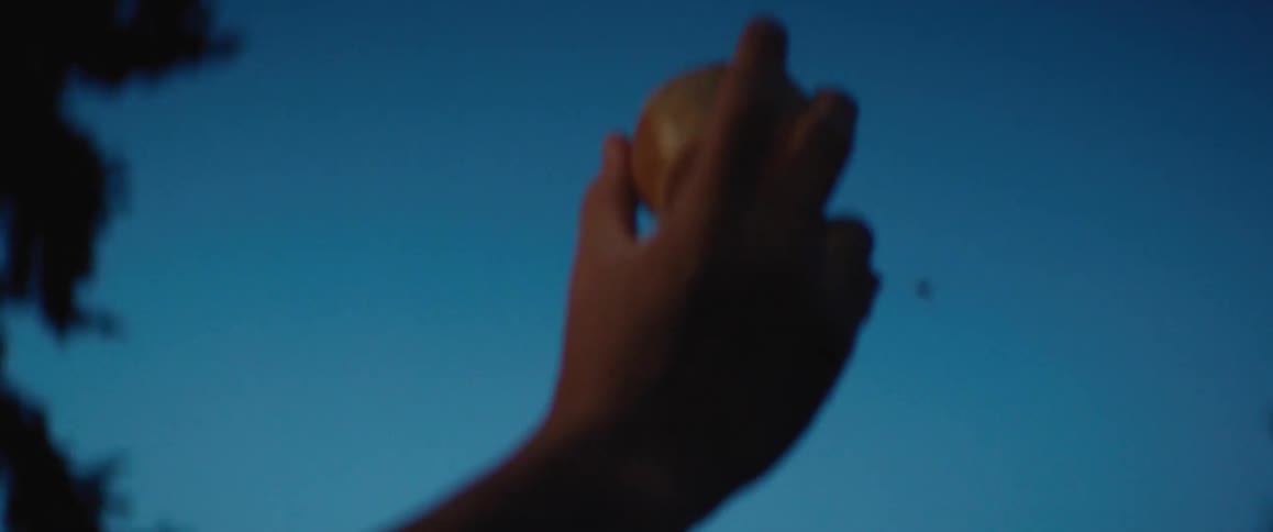 A person is holding a piece of fruit outdoors at night