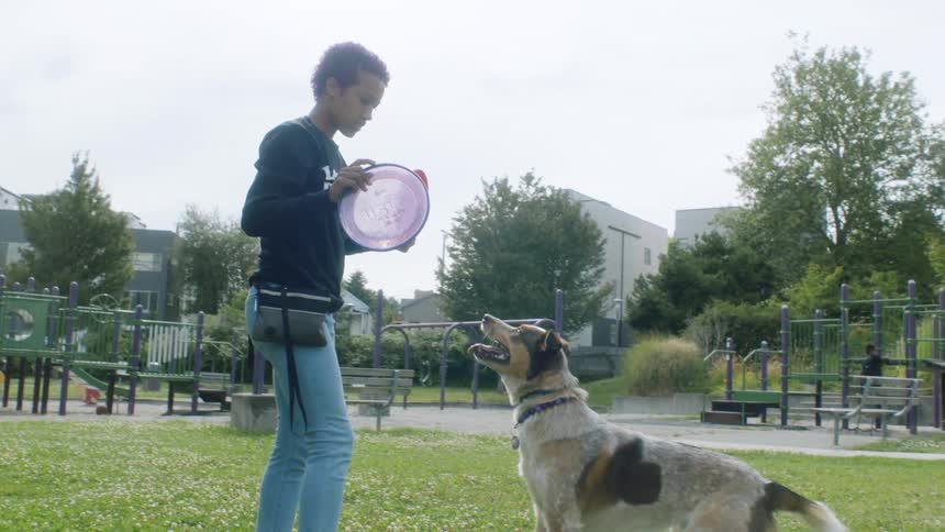 A woman throws a frisbee for her dog to chase at a party in a park