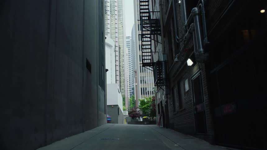 An alleyway between large buildings in a metropolis during the day