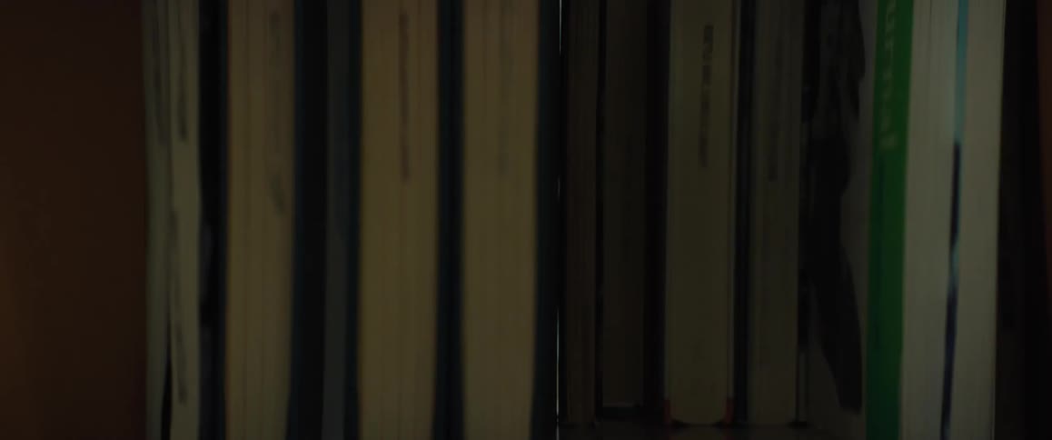 A man removes several books from a shelf at once and carries them away