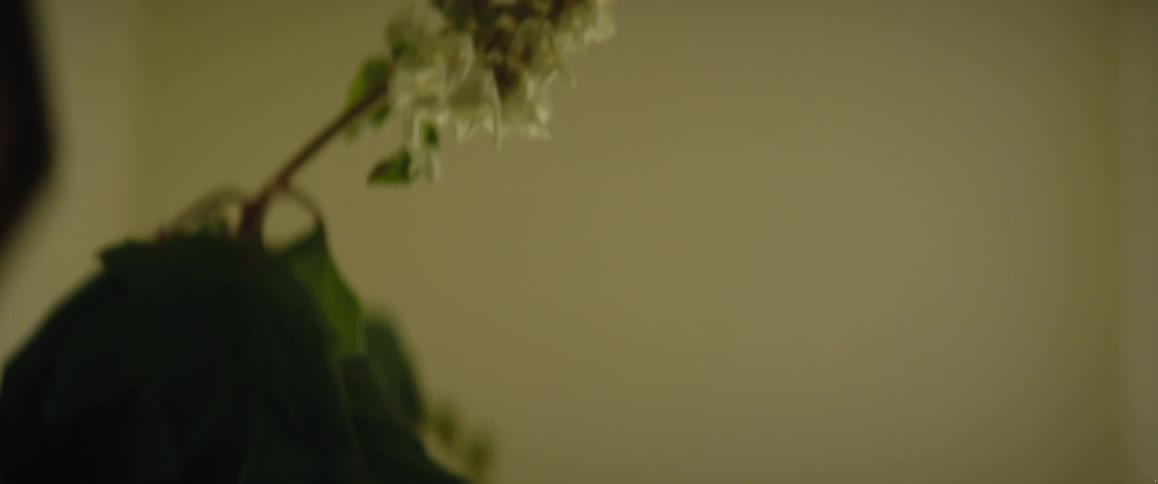 A flower and leaves are in a vase inside a room