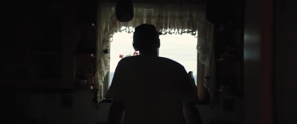 A person is looking out the window in the home
