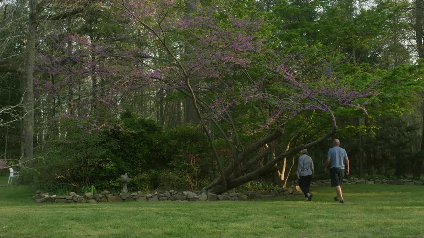 Two people walking out in a forest