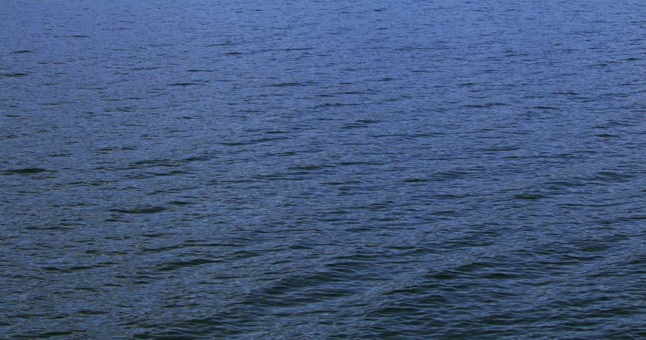 Small waves flow across darker blue surface of water
