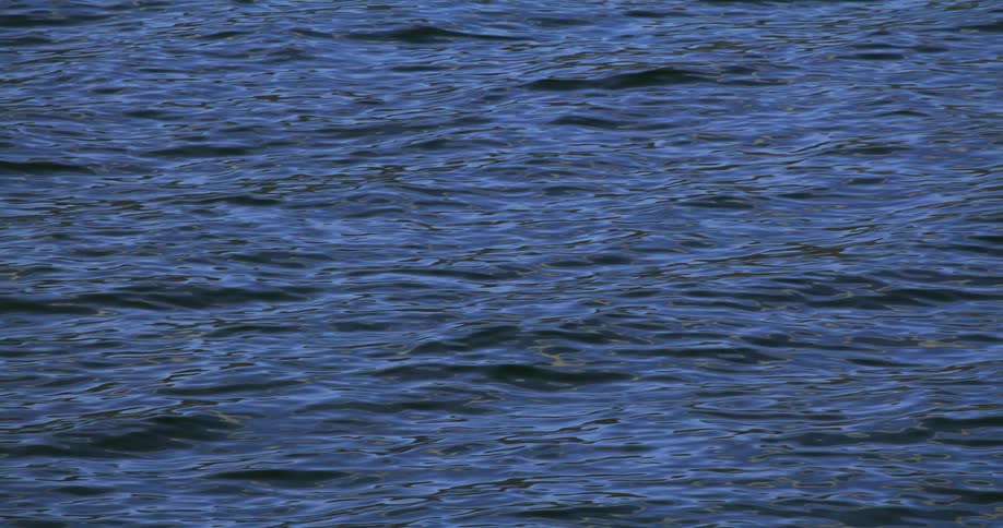 Small waves on the blue surface of a lake or ocean