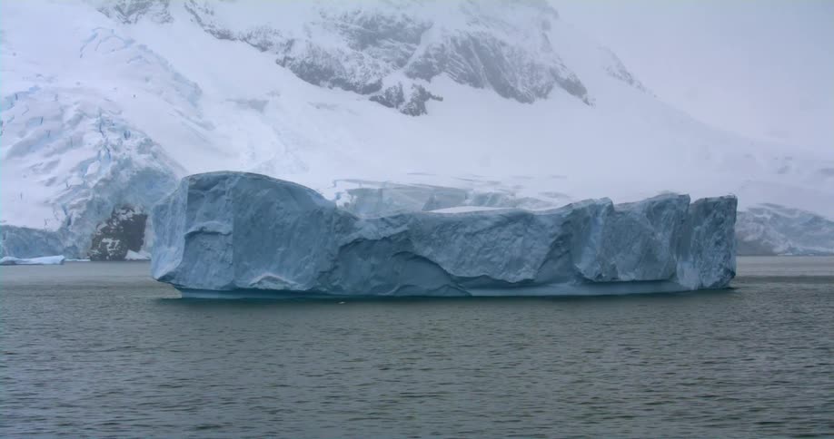 An iceberg floats on the ocean just off a coastline covered in ice and snow
