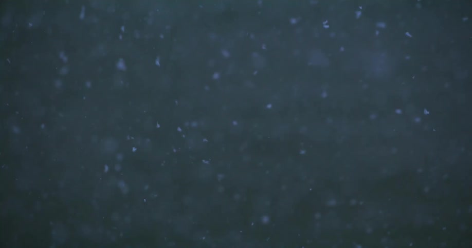 Pieces of ice are floating in the water in front of a snow covered glacier