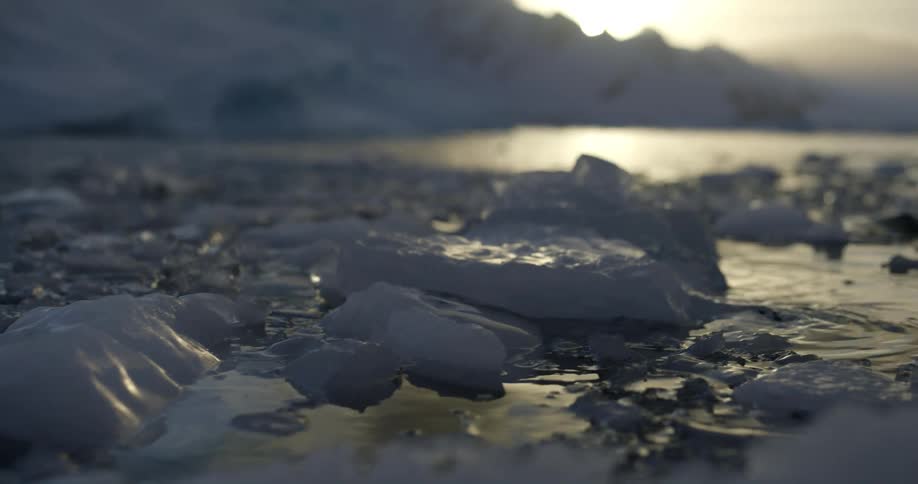 Pieces of ice are moving in the water as sunlight reflects on the ripples and waves