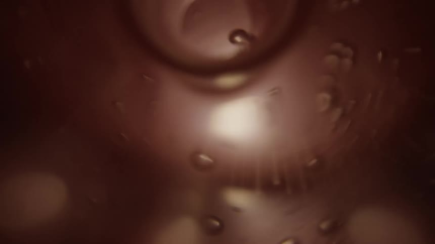 Bubbles form in a liquid under a microscope