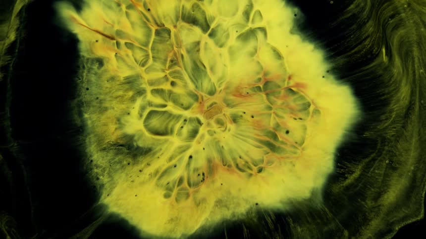 A yellow liquid explodes into fractal shapes