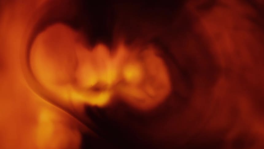 Abstract footage of liquid dye mixing together