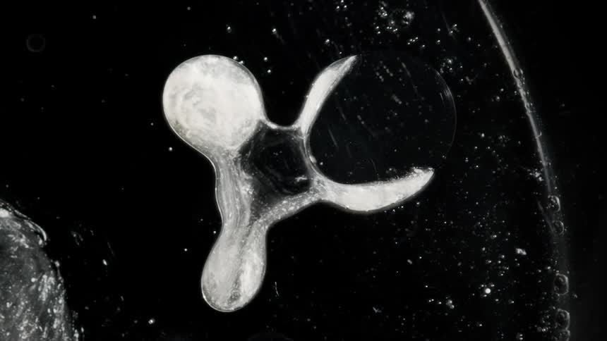 A viscous fluid changes shape inside a sphere