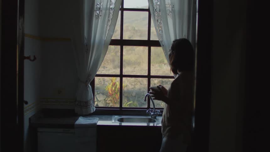 A woman is standing at her kitchen window drinking from a coffee cup and looking outside