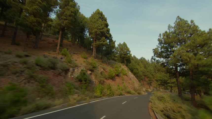 A two lane road runs along the side of a forested mountain under a clear sky