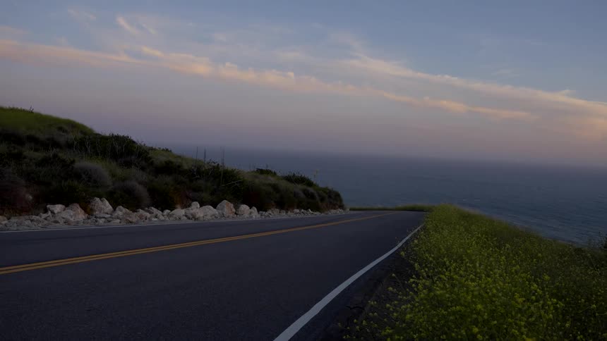 The wind blows the flowers by the road