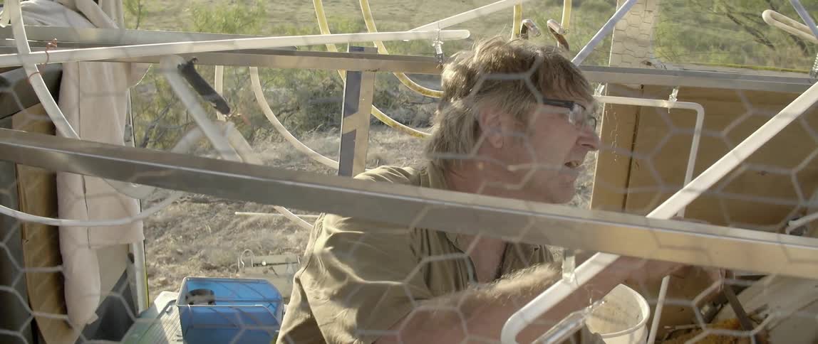 A man is looking around behind a fence