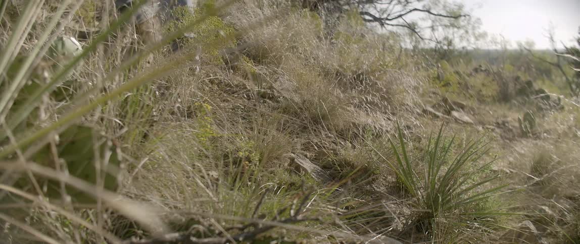 A person walks up a hill covered with grass and rocks