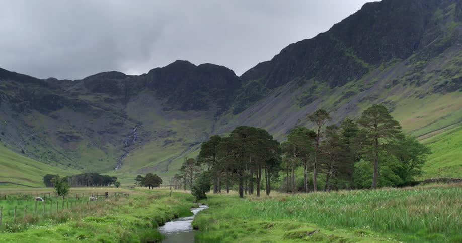 A stream runs through a field near trees as animals are grazing and there are mountains in the distance under a cloudy sky