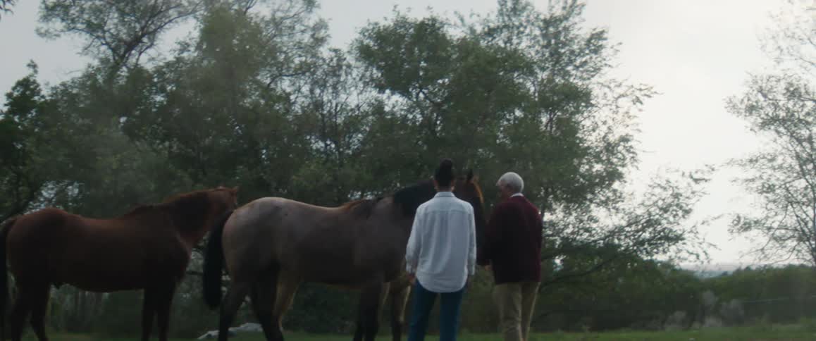 An elderly man and woman pet their horses in a field