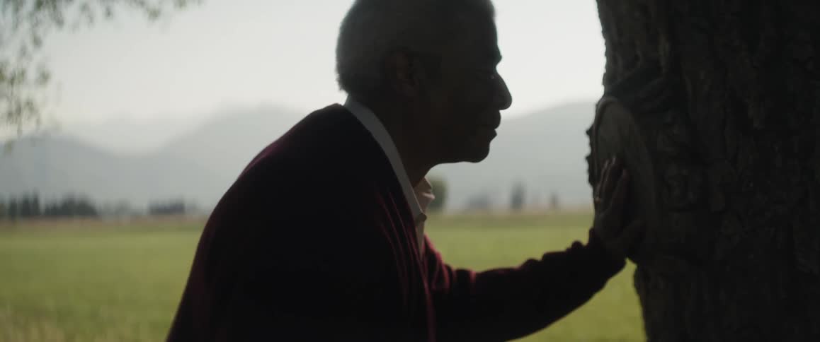 An elderly man is standing outside with his hand on a tree as it talks to it and there is an open field and mountains in the distance
