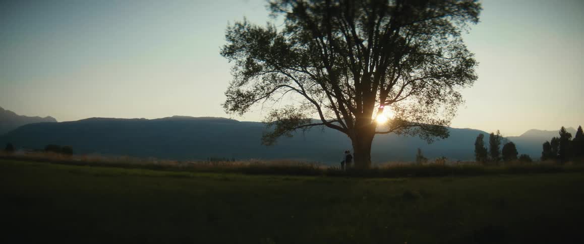 Two people hug under a large tree as the sun sets