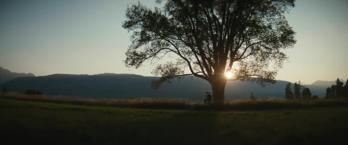 People are standing under a tree as the sun rises over a mountain