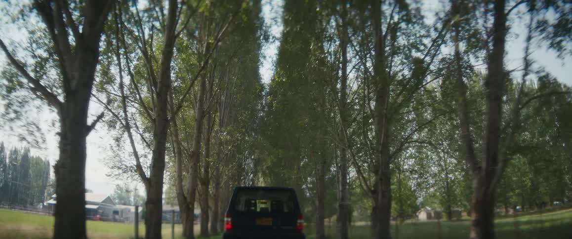 An old black volvo station wagon is traveling on a country road lined with trees