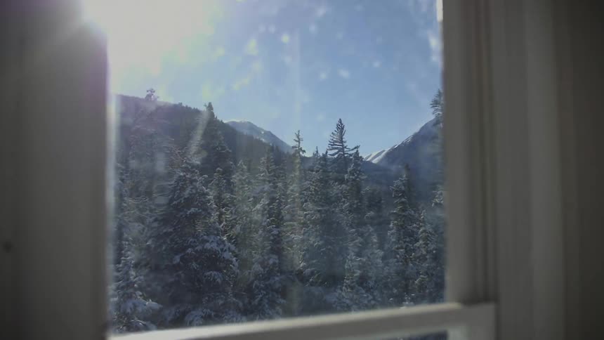 Outside a window many tall trees can be seen