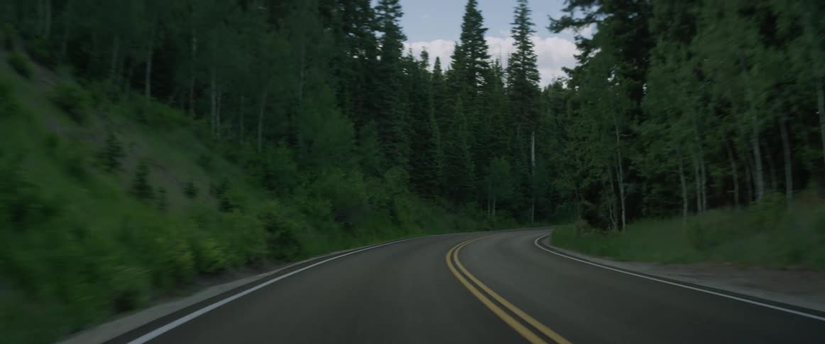 Two lane highway winds through conifer forest