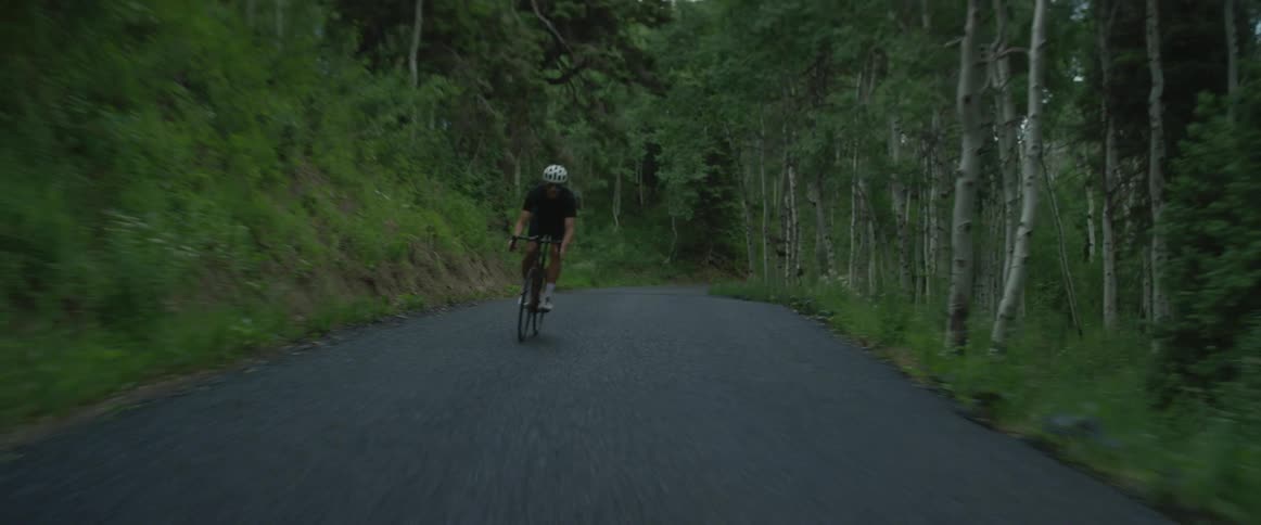 Cyclist rides along road winding through forest