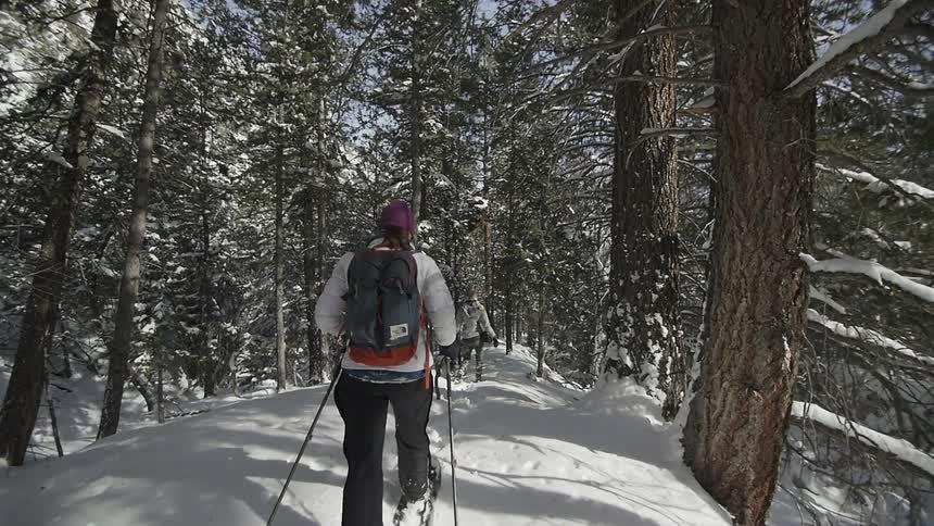 Two women travelling through the woods on snowshoes