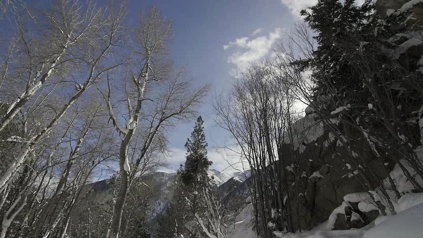 A cliff is surrounded by trees and snow
