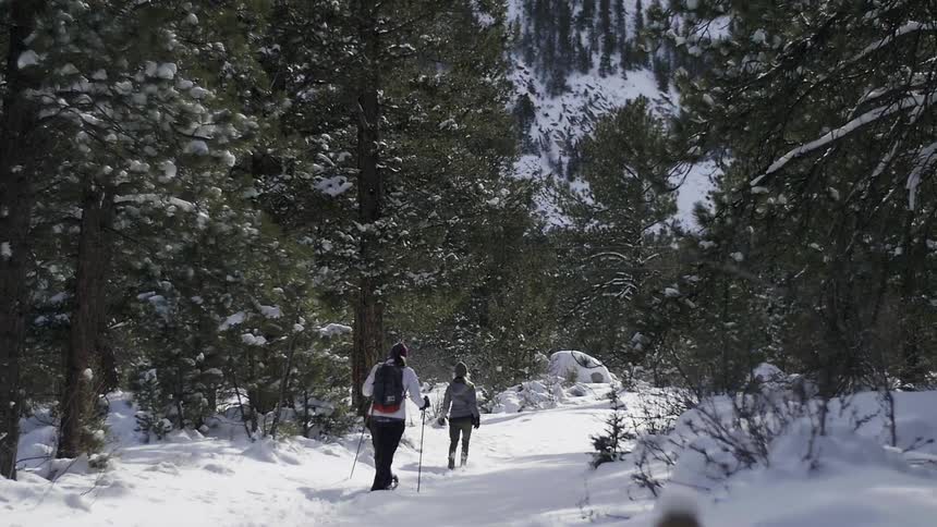 Two women walking along a snow-covered trail