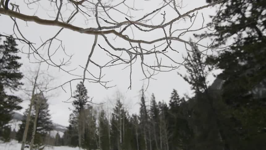 Snow falling in a wintry mountain landscape