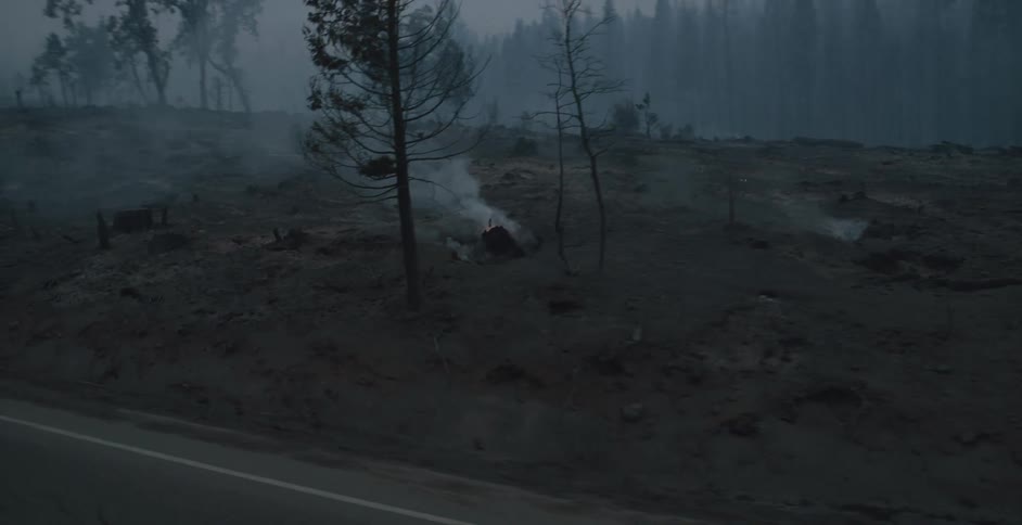 Smoke billows from a burning out forest fire