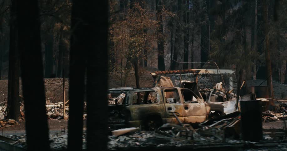 Burnt vehicles line the streets of a neighborhood destroyed by a fire