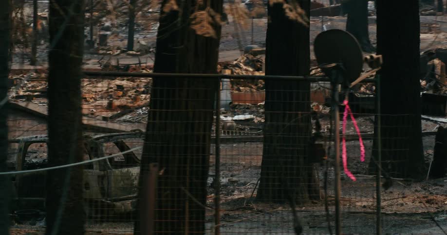 Broke down vehicles litter the burned down forest