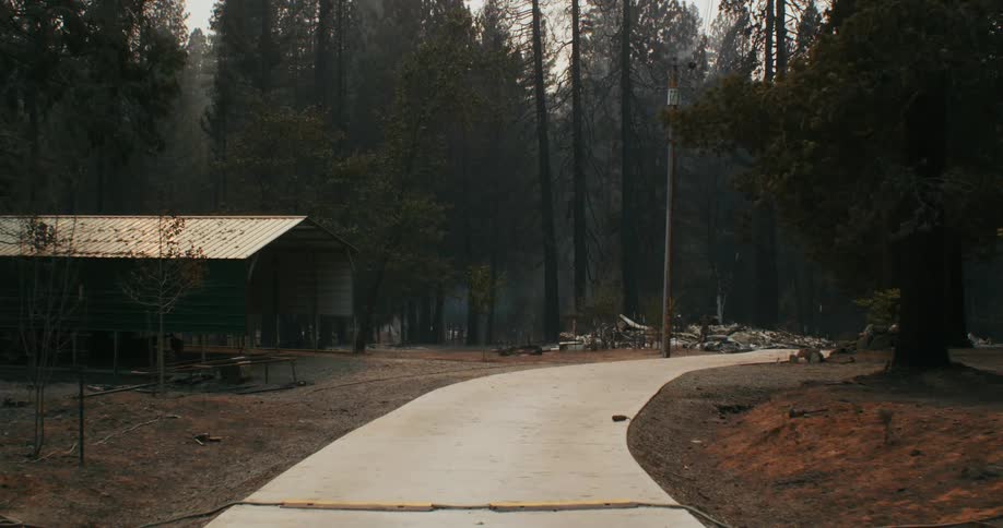 The smoke filled forest is in the park