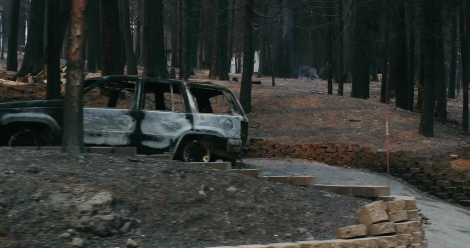 A burned vehicle is in the driveway of a burned home in the middle of a burned forest